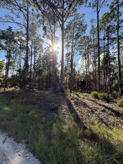 Escape the hustle and enjoy the tranquility of rural living on this beautiful one-acre parcel. Professionally mulched UNDERBRUSHED! Surrounded by nature, this property offers plenty of space for your dream home, garden, or even a workshop or RV. The lot provides a quiet country setting. Whether you're looking for a weekend retreat or a permanent homesite, this property gives you the freedom and space to create your ideal lifestyle. Its a BOATERS dream! No HOA and very close to Lake George and St John's River.