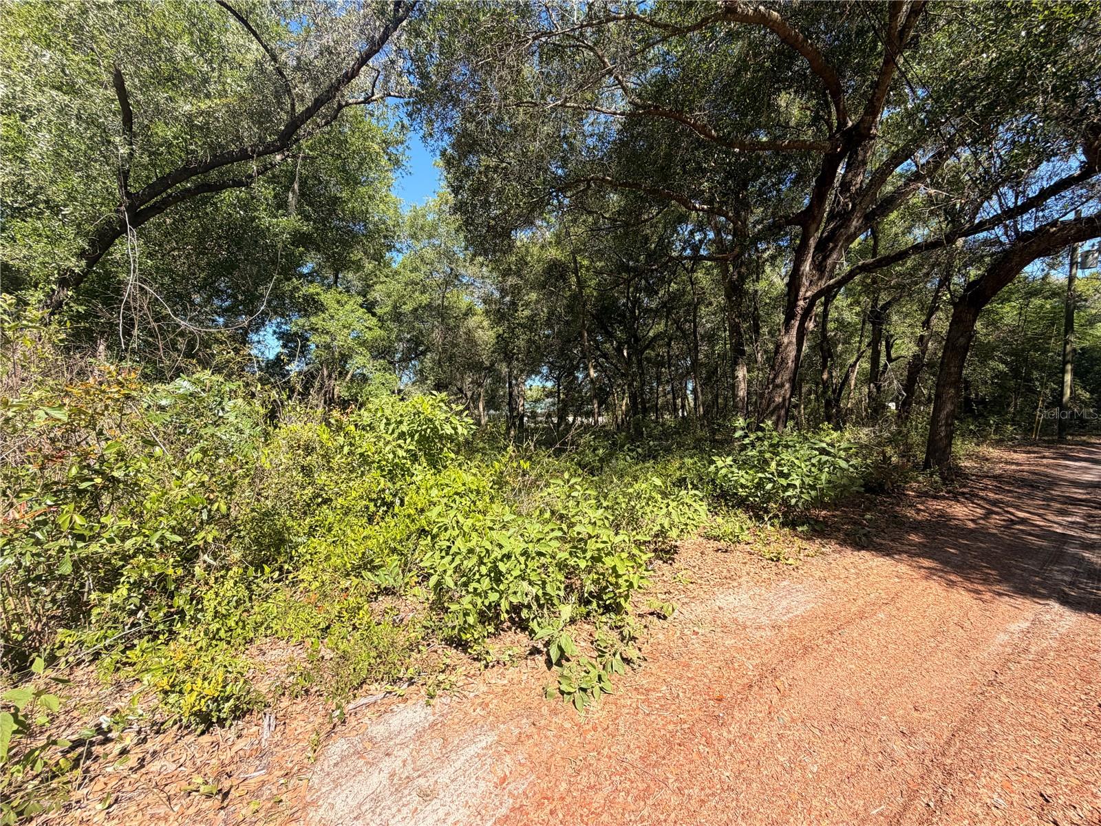 Build your dream home on this 0.50-acre lot in Hernando County. Zoned AR2, allowing for single-family or manufactured homes (buyer to verify with the county). Partially cleared with mature trees, offering privacy and flexibility. Dirt road access. No HOA. Conveniently located near Cortez Blvd and the Suncoast Parkway for easy access to shopping and dining.