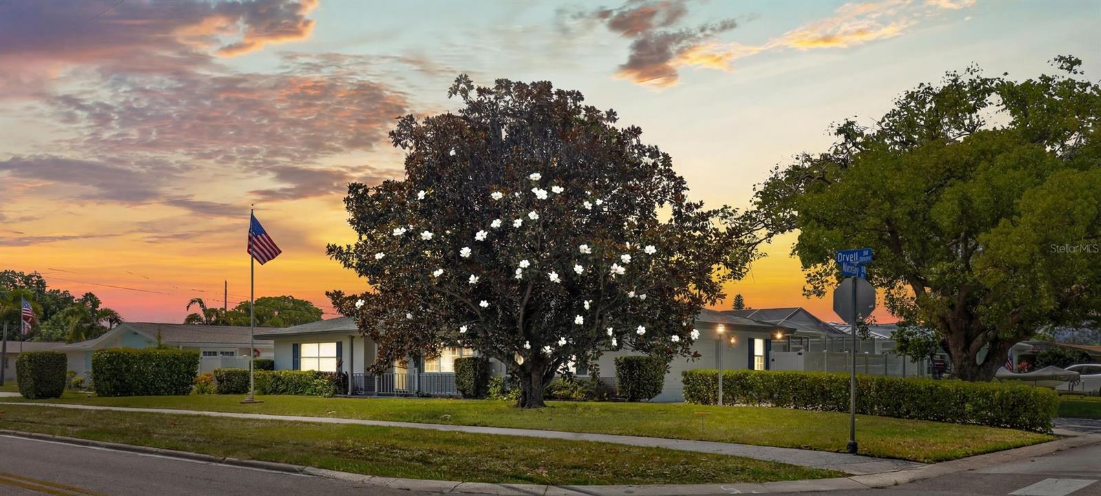 DRUID PARK - Residential