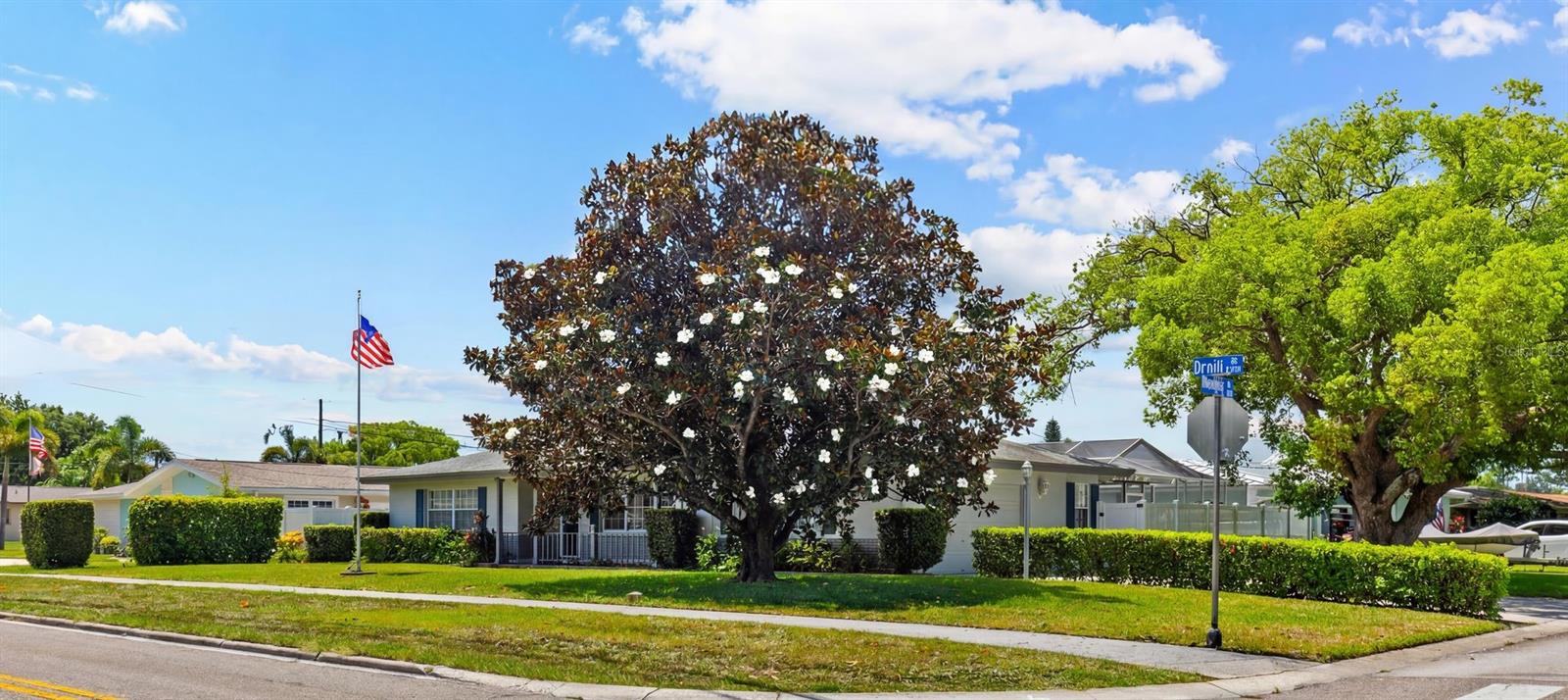DRUID PARK - Residential