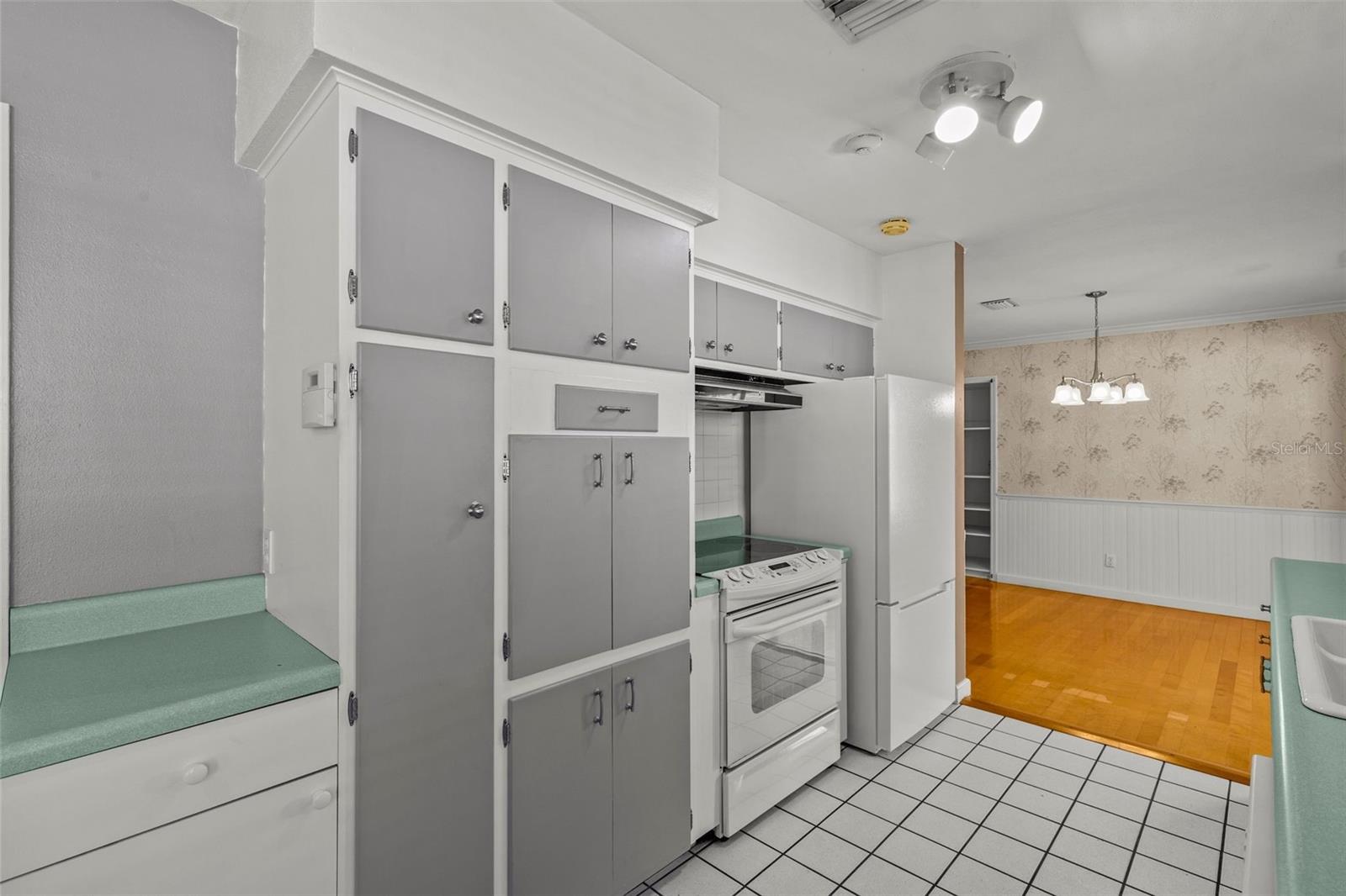 DRUID PARK - Residential