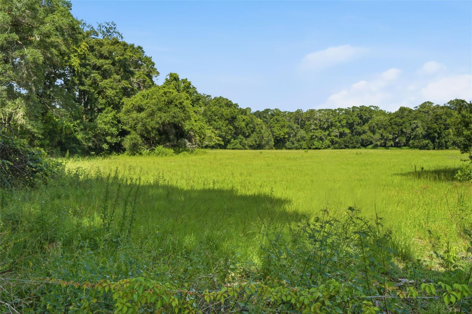 OCALA PARK ESTATE - Residential