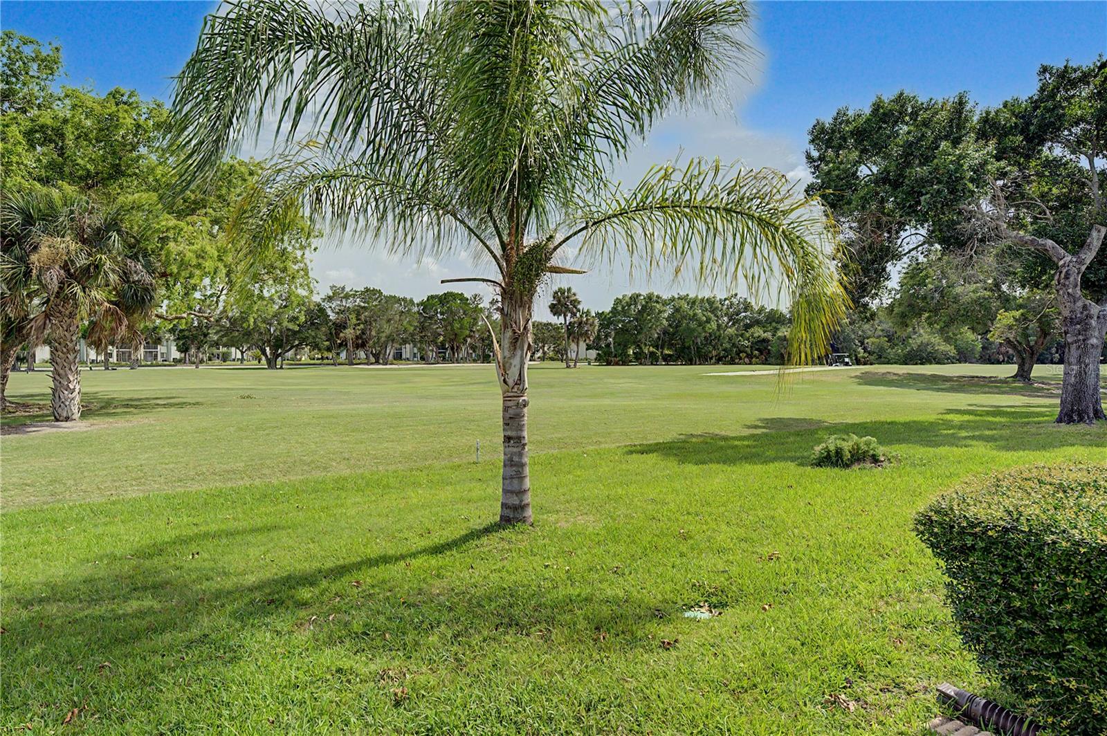 EAST LAKE WOODLANDS - Residential