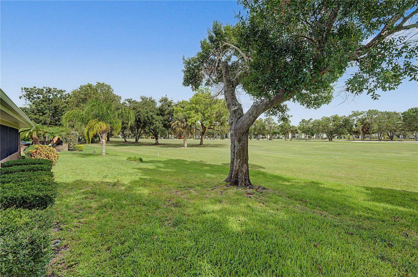 EAST LAKE WOODLANDS - Residential
