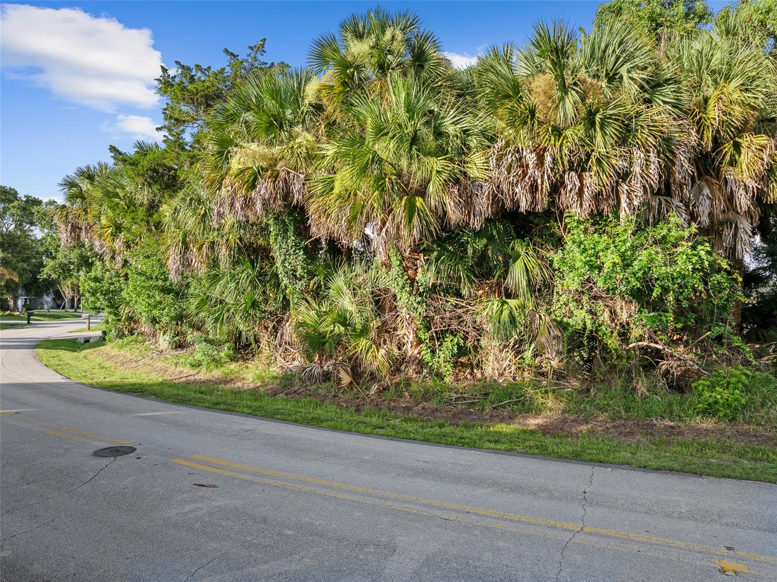PALM COAST SEC 15 - Land