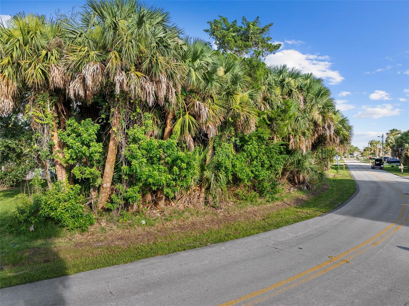 PALM COAST SEC 15 - Land
