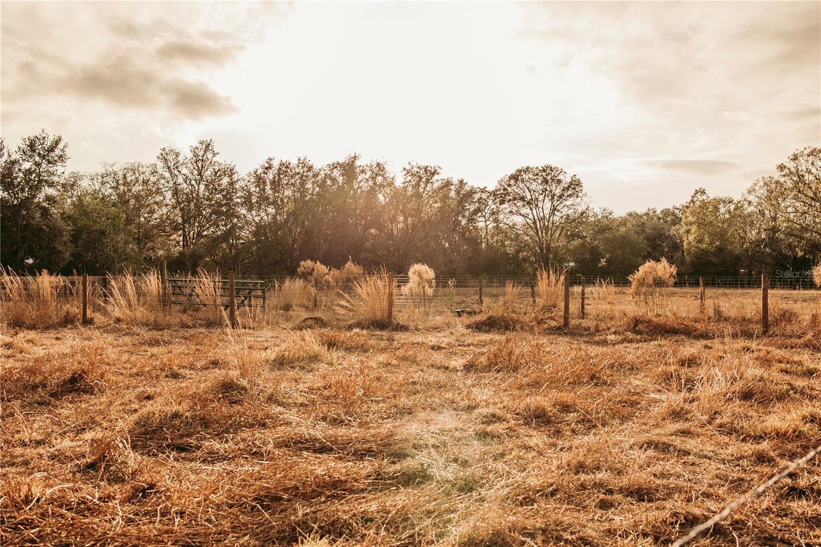 UNPLATTED - Land