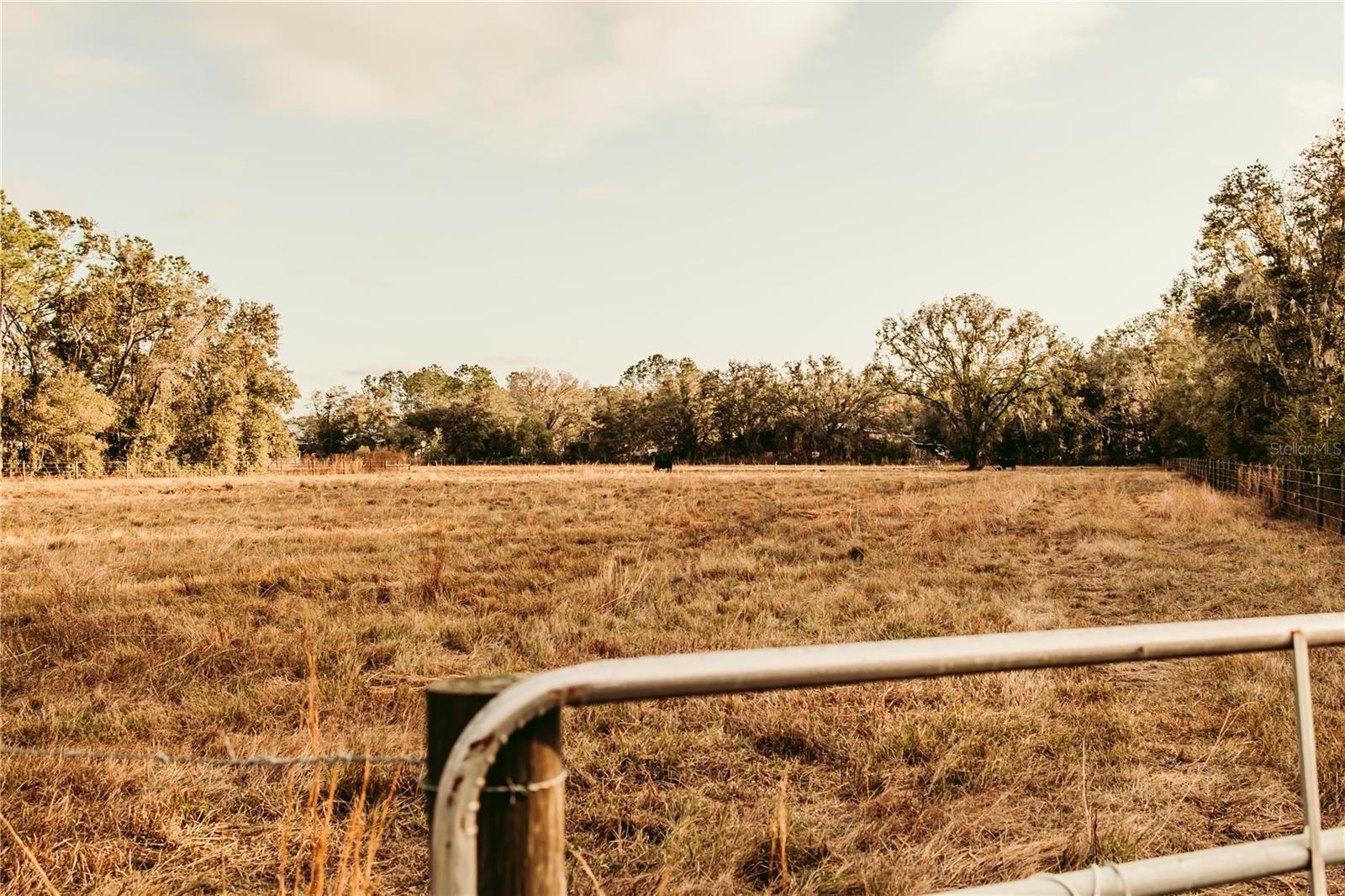 UNPLATTED - Land