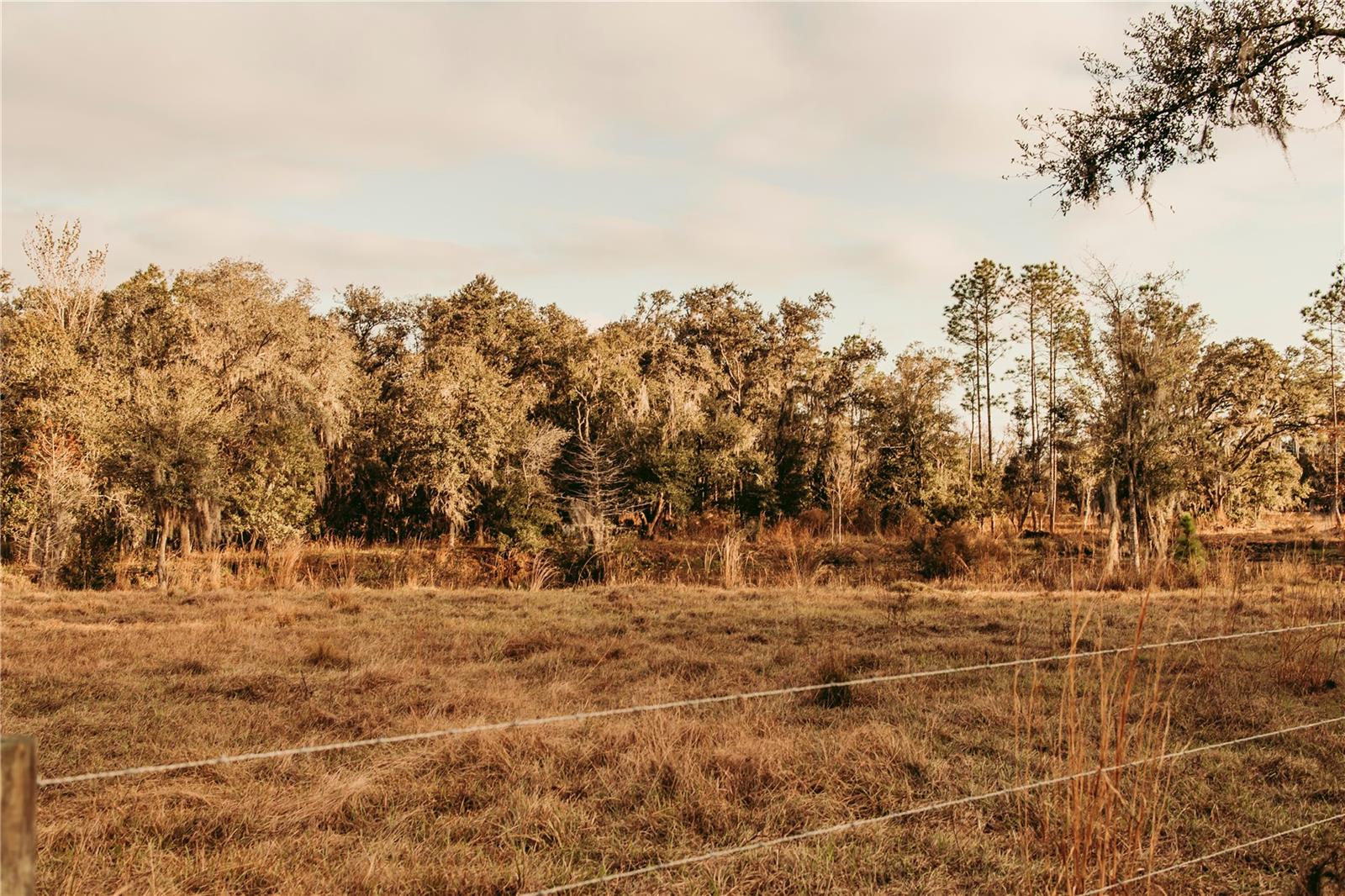 UNPLATTED - Land