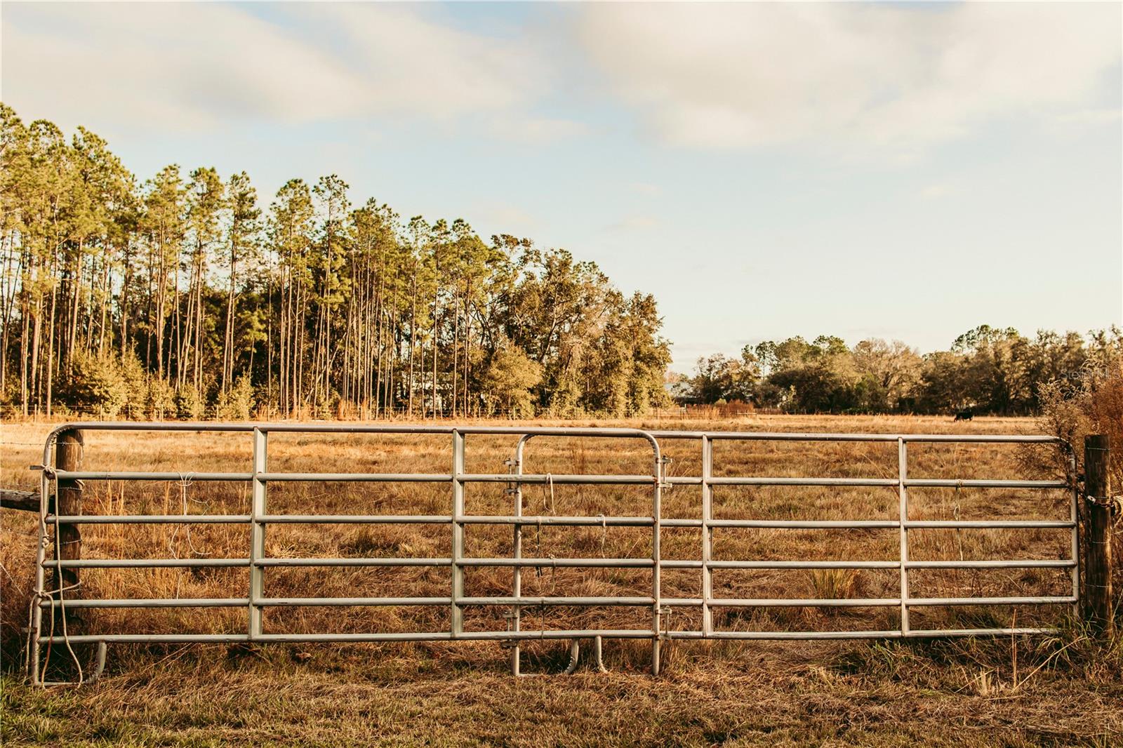 Great opportunity to own 31.75+/- acres on the North side of Plant City. Perfect location for livestock and outdoor recreation. Current zoning is AS 0.4 which allows for 1 home per 2.5 acres. Covered with beautiful trees and open pasture.