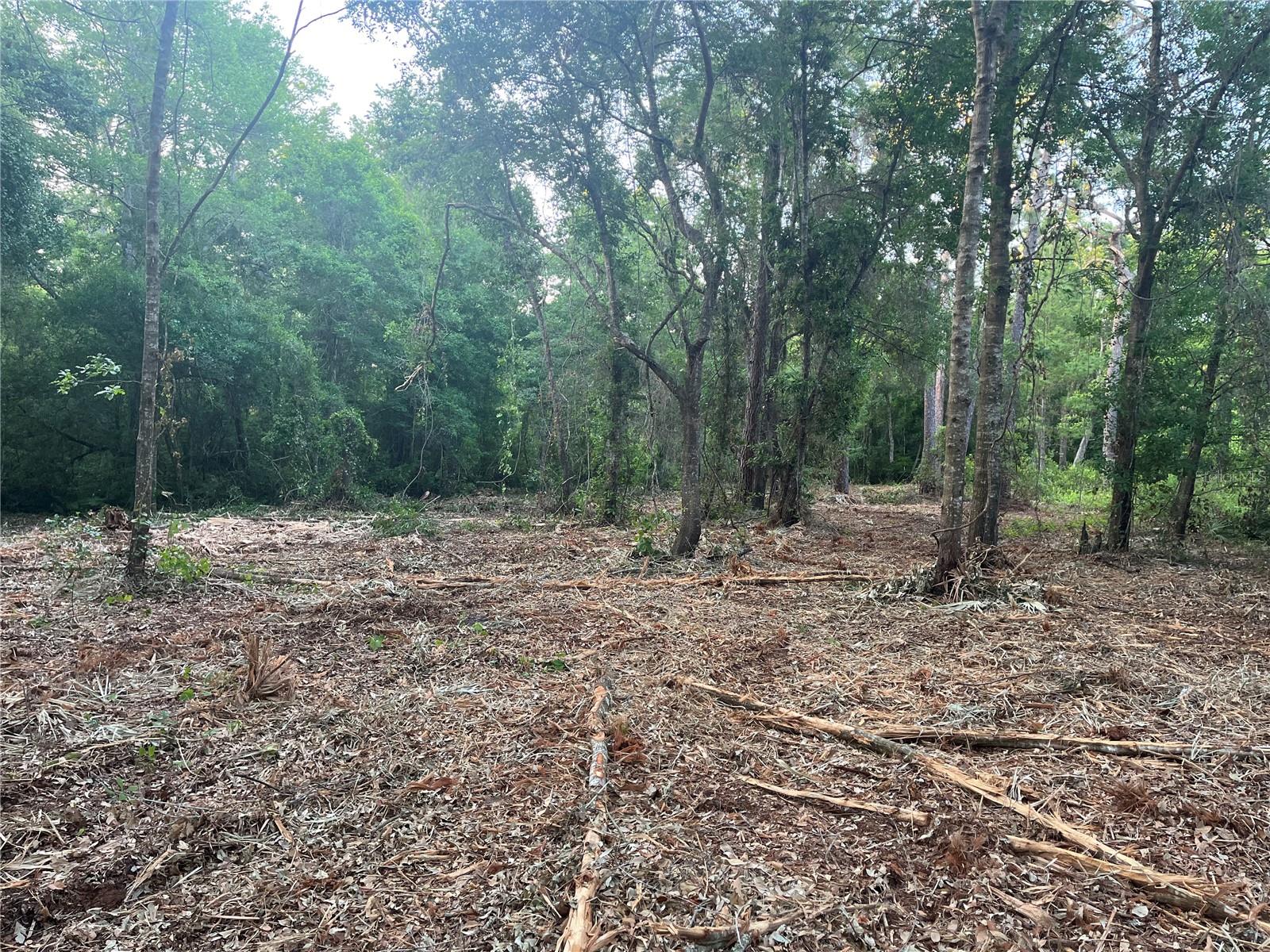 This spacious 7.97-acre wooded lot comes with no HOA or CDD fees, offering you the ultimate privacy while still being conveniently close to shopping and entertainment. The community features a lakefront park, boat ramp, and fishing access. The property is accessible via a dirt road, and you'll need to install a septic system and well. The power is 100 feet away in front of the house next door. Contact us directly or call for more details today!  Owner finance  available.