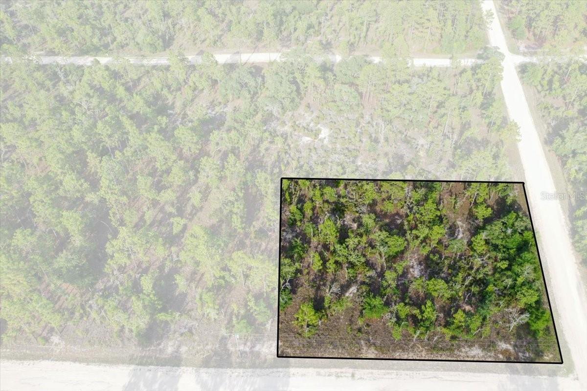 Rare opportunity to own up to 10 acres in Williston Highlands! This unique offering includes ten adjoining 1-acre lots available for purchase together or individually, giving you the flexibility to build your dream home, create a private retreat, or invest in Florida land. Enjoy plenty of room for your home, workshop, RV, boats, horses, and all your outdoor toys in a peaceful country setting just minutes from Williston's amenities. Located in the heart of Florida's Horse Country, the property is also a short drive to the World Equestrian Center in Ocala, as well as popular attractions like Devil's Den and Blue Grotto springs. Whether you're looking to build now or invest for the future, this property offers privacy, natural beauty, and the freedom to create the lifestyle you've been looking for.
