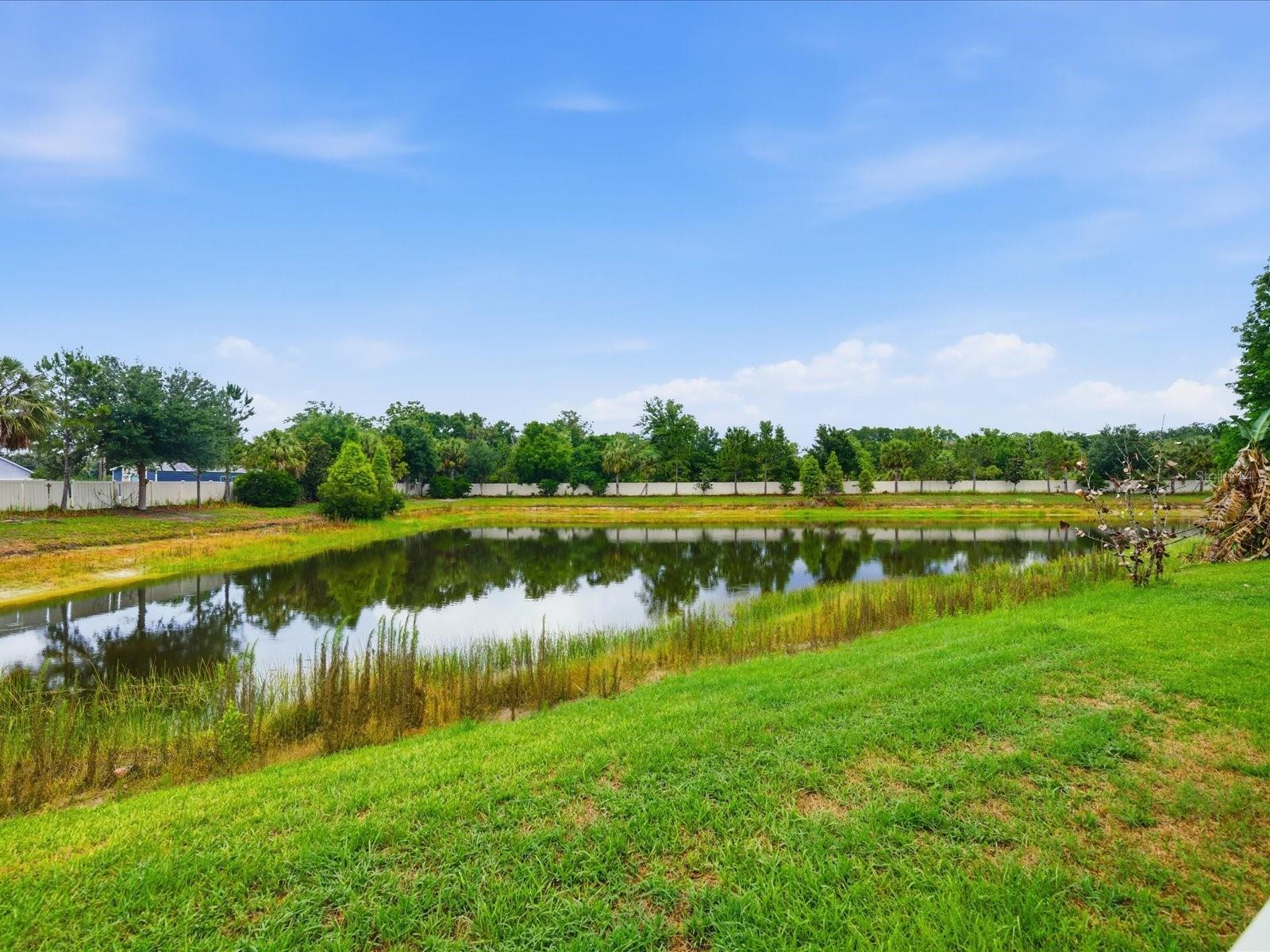 ENCLAVE AT CHANNING PARK - Residential