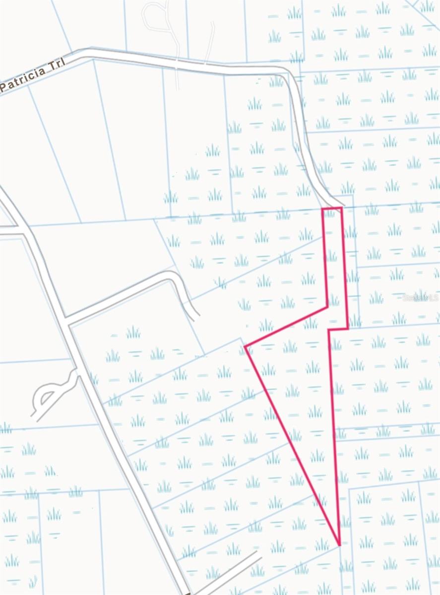 Are you looking for a challenge? This lot is an unusual lot deep in the woods and surrounded by woods. Triangle in shape. Plenty big for your home or toys at 7 acres. In a great location that is close to Disney, shopping, entertainment, and more. Go direct and check it out today.