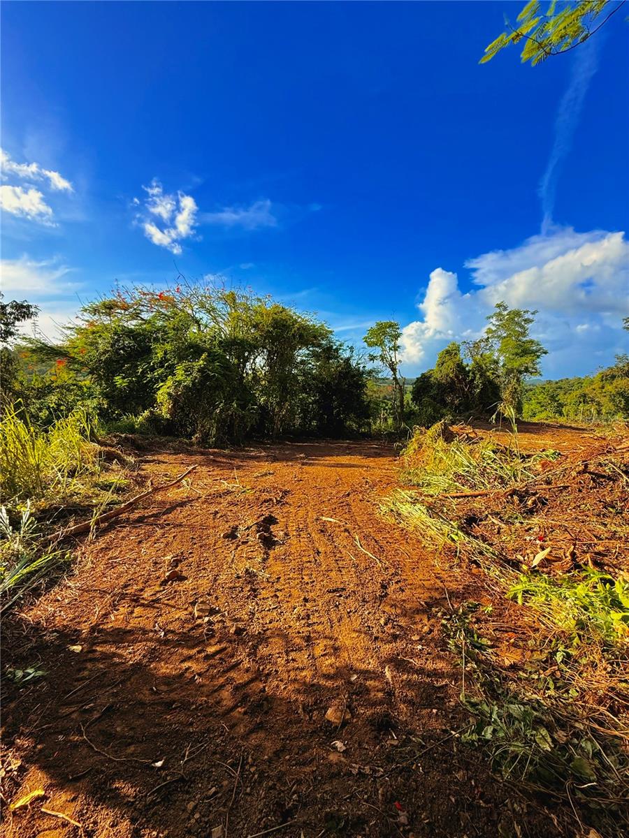 Your Next Project Surrounded by Nature – CRC-3 Zoned Lot in Carolina
This 1.397-cuerda lot (approx. 5,492 m²) offers the ideal setting for a mindful development in harmony with the environment—without sacrificing accessibility. Located in an elevated area of Barrio Cacao in Carolina, this property provides scenic views toward the river and a peaceful, private atmosphere surrounded by lush greenery and fresh air.

** Zoning: CRC-3 – Watershed Conservation
This zoning allows for a variety of environmentally compatible uses, including:

*Single-family or two-family residences

*Low-impact eco-projects or agro-tourism developments

*Glamping, bed & breakfast accommodations, or tiny homes

*Agricultural activities using sustainable practices

*Passive recreational spaces that align with conservation goals

** Prime Location
Just minutes from Route 66 and Carr #3, the international airport, shopping centers, and beautiful beaches—yet still immersed in tranquility and nature.

*** Opportunity for Joint Purchase
This lot is adjacent to another available property. Buying both can expand your project’s potential. Special pricing available for joint acquisition! ***