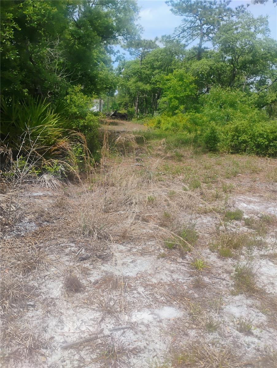 *PRICE REDUCED! This vacant lot is located in the sought-after Dora Pines subdivision in Mount Dora, Florida. The property offers a serene, wooded setting, providing an ideal space for your future plans. It is conveniently situated near US 441 and just minutes from downtown Mount Dora, allowing you to enjoy all the festivals, shopping, dining, and events this charming town is known for. Additionally, the lot offers easy access to Orlando, with Disney World only 40-50 minutes away by car. PLEASE NOTE THAT THIS LAND IS UNIMPROVED. THE ROADS ARE PLATTED, BUT MAY NOT BE CLEARED. ANY INQUIRIES ON THE USE OF THIS PROPERTY SHOULD BE MADE TO LAKE COUNTY PLANNING AND ZONING.