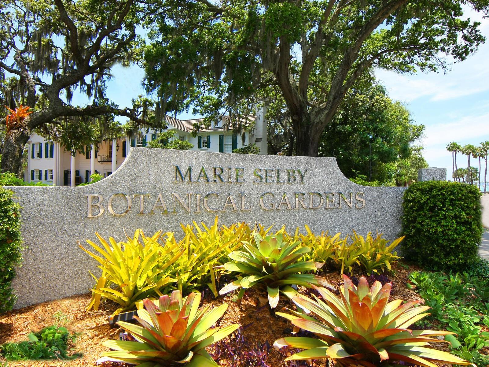 VUE SARASOTA BAY - Residential