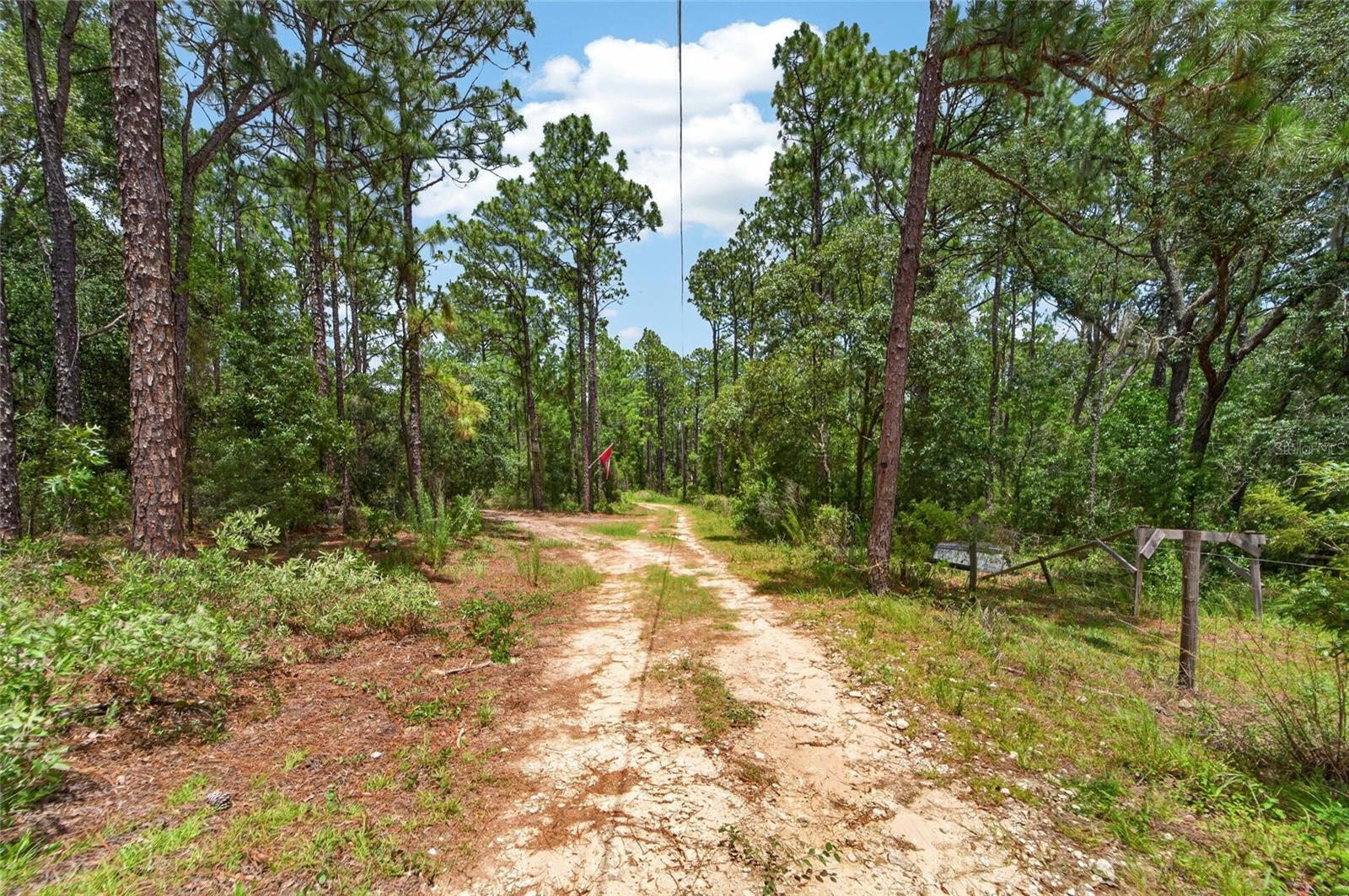 HERNANDO HIGHLANDS - Residential