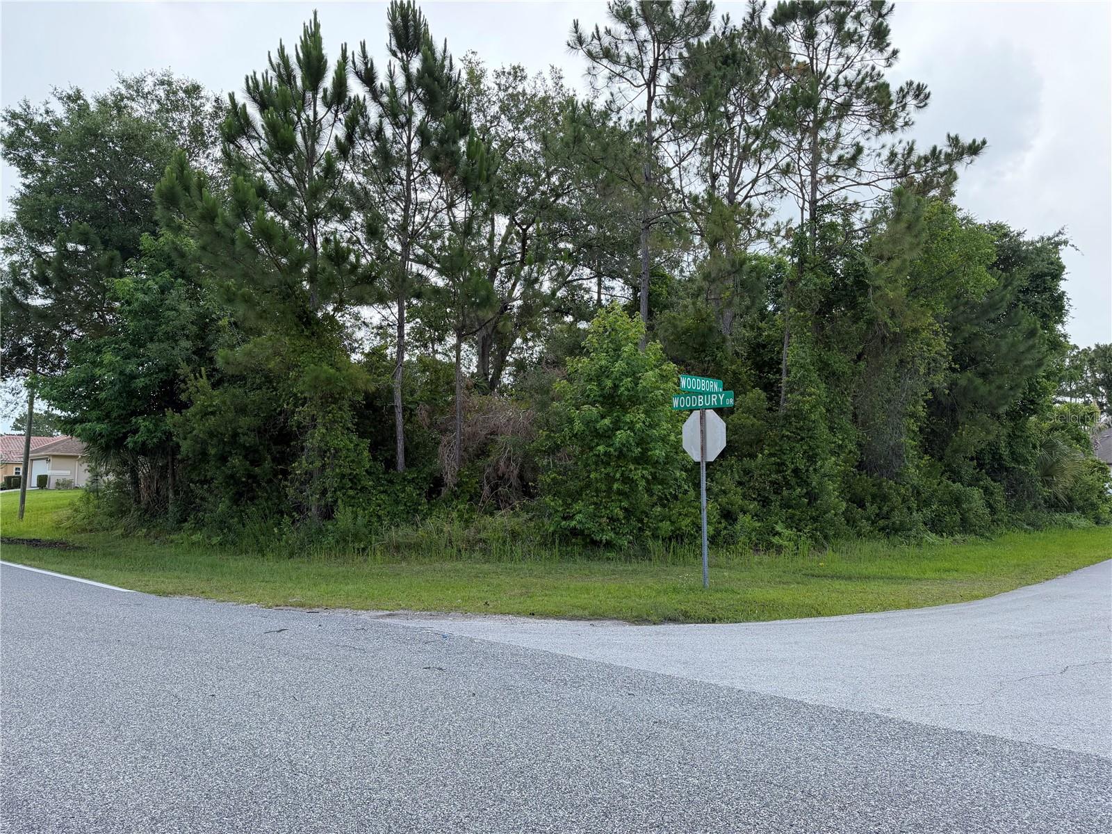 OVERSIZE CORNER LOT, PRIME LOCATION, CUSTOM BUILD YOUR OWN DREAM  HOME, GROWING CITY,  CONVENIENCE LOCATION NEAR SUPER MARKETS, HOSPITALS, AND SCHOOLS. PLUS IT'S ONLY 20 MINUTES TO FLAGLER BEACH, 20 MINUTES TO ST.AUGUSTINE, AND 20 MINUTES TO DAYTONA.