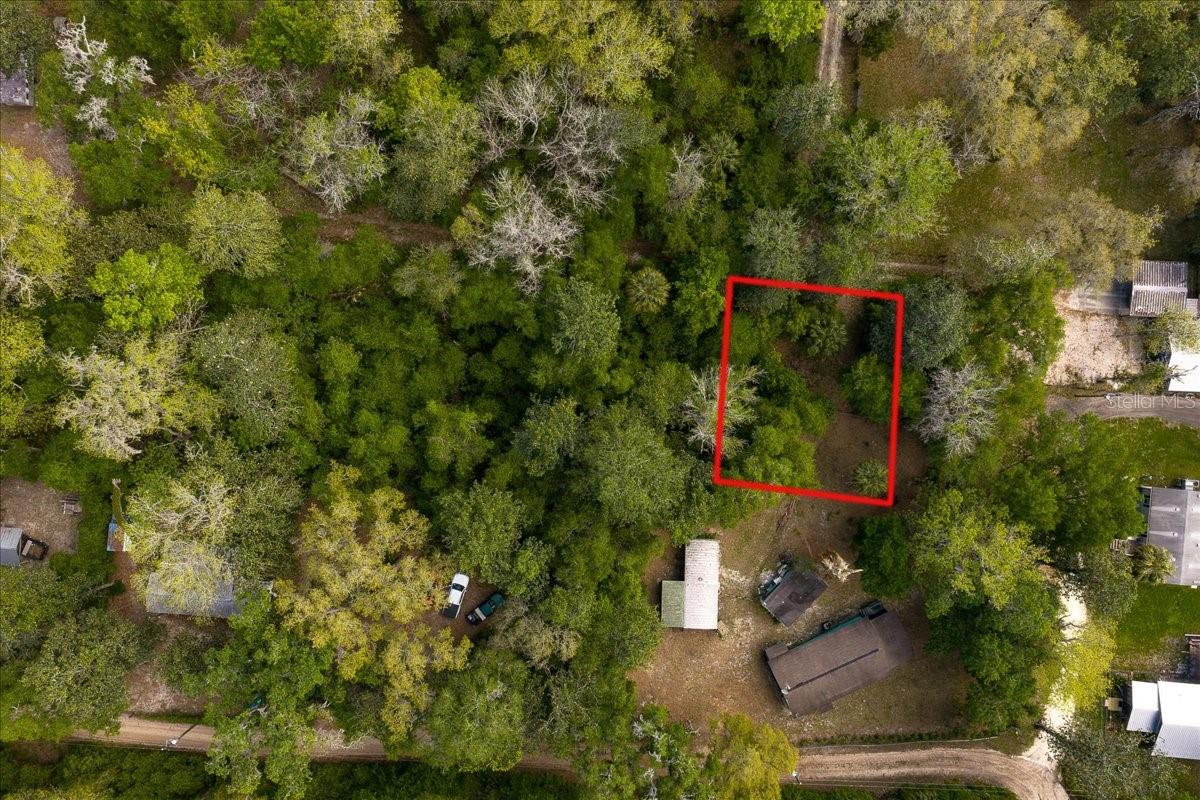 Discover your own private slice of Florida wilderness with this 0.17-acre homesite nestled in a peaceful rural setting within the Ocala National Forest area. Surrounded by natural beauty, this property offers the perfect escape for outdoor enthusiasts and those seeking tranquility away from the city. Enjoy close proximity to world-class fishing, hunting, and scenic rivers, making it an ideal location for a future homesite or weekend retreat. With no hustle and bustle—just fresh air, towering trees, and abundant wildlife—this is your opportunity to own a piece of Old Florida.