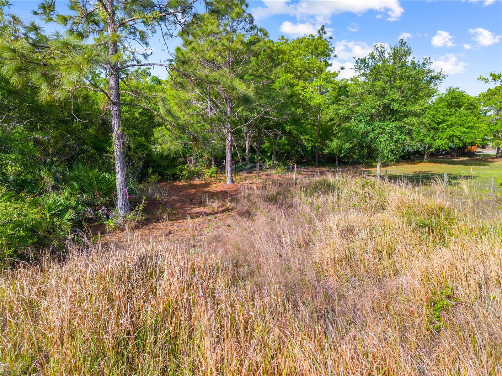 CANAVERAL ACRES 4 - Land