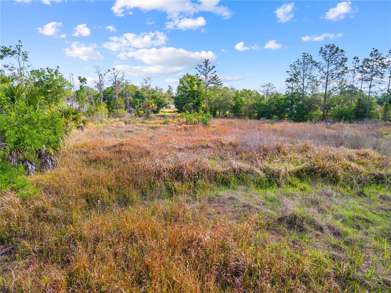 CANAVERAL ACRES 4 - Land