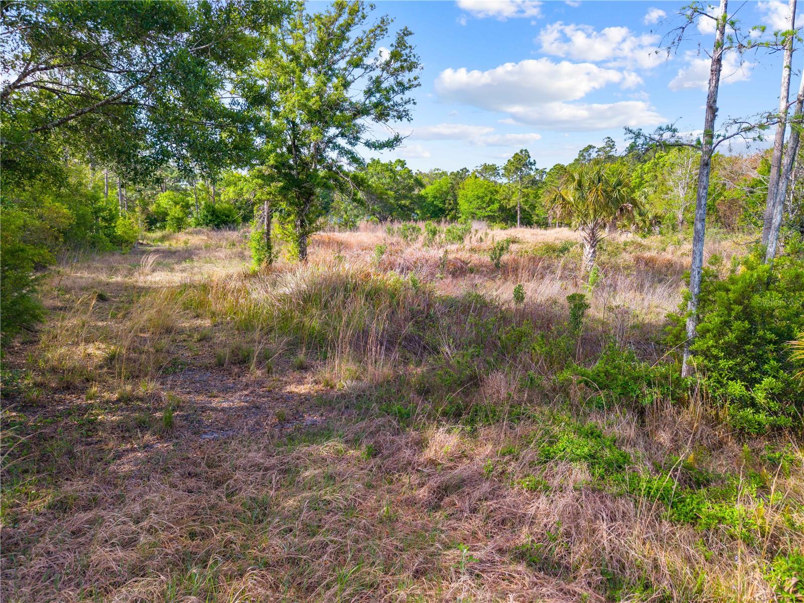 CANAVERAL ACRES 4 - Land