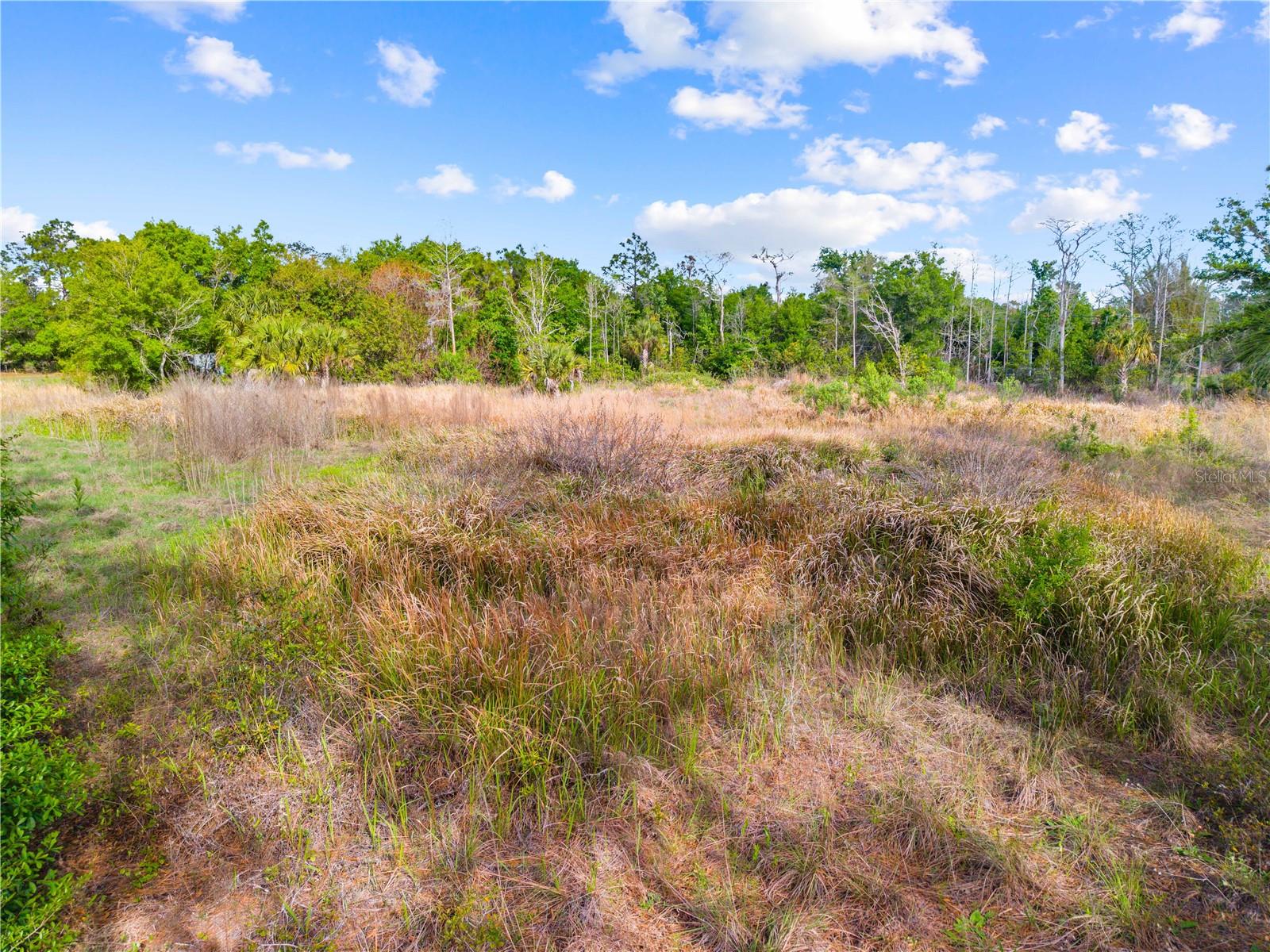 CANAVERAL ACRES 4 - Land