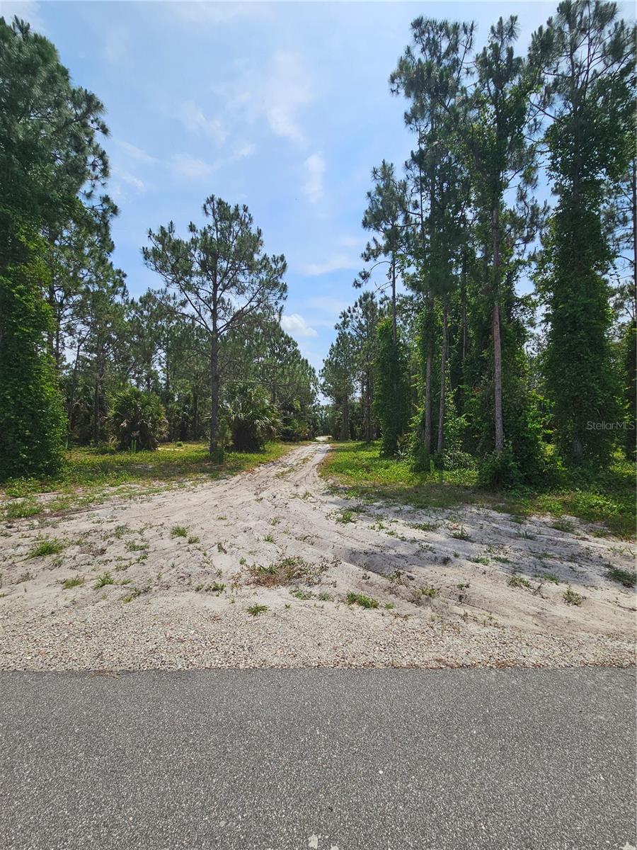 OVIEDO ESTATES AT LAKE MORAN SOUTH - Land