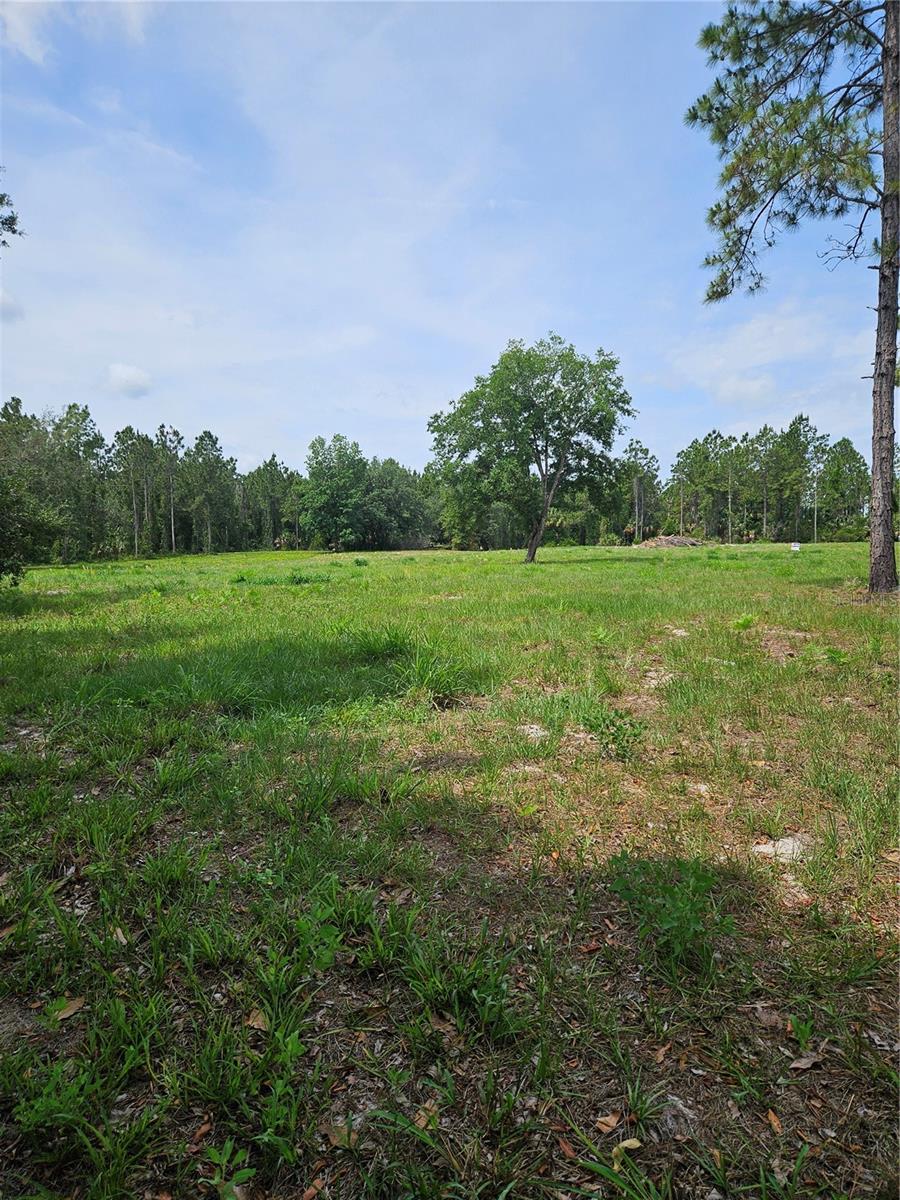 Nestled along a private road in Geneva, this rare 21-acre property offers the perfect setting to create your dream estate surrounded by the beauty of Old Florida. Approximately 9 acres are high and dry, including a 3-acre cleared homesite, with rolling elevations reaching nearly 60 feet along Geneva’s sought-after hilly ridge.

Stretching roughly 450’ x 2,000’, the property features a private tree-lined entry, sweeping eastern-facing views, and abundant natural wildlife throughout the environmental preservation areas. Enjoy breathtaking sunrise views and front-row seats to Space Coast rocket launches from your future backyard.

Tucked away in a peaceful, private setting shared by only two homes, yet located 10 minutes from Publix, dining, and shopping, this property offers the rare combination of privacy, elevation, convenience, and buildable land within the highly sought-after Seminole County school district. Build more than a home — create a legacy.