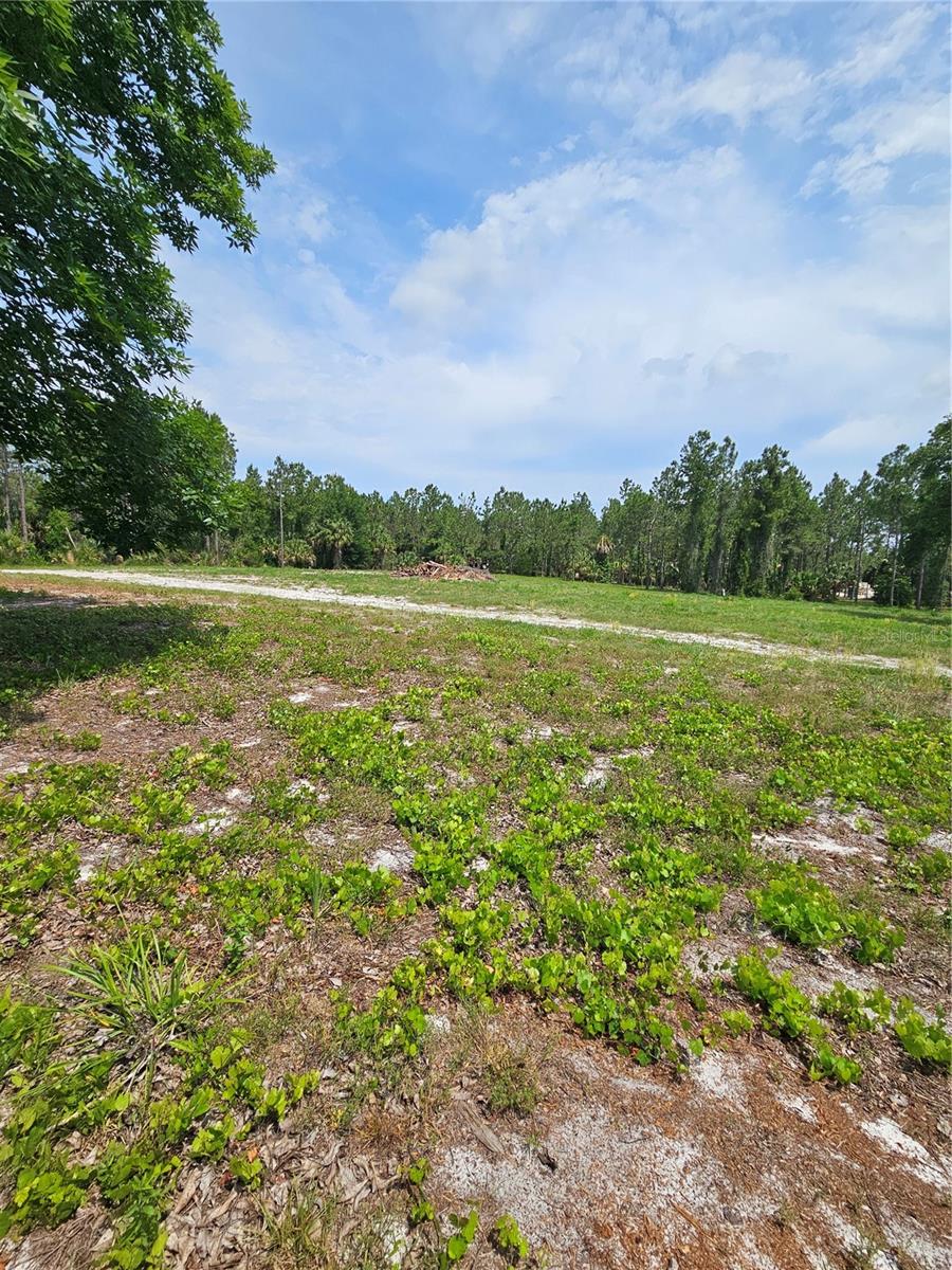 OVIEDO ESTATES AT LAKE MORAN SOUTH - Land