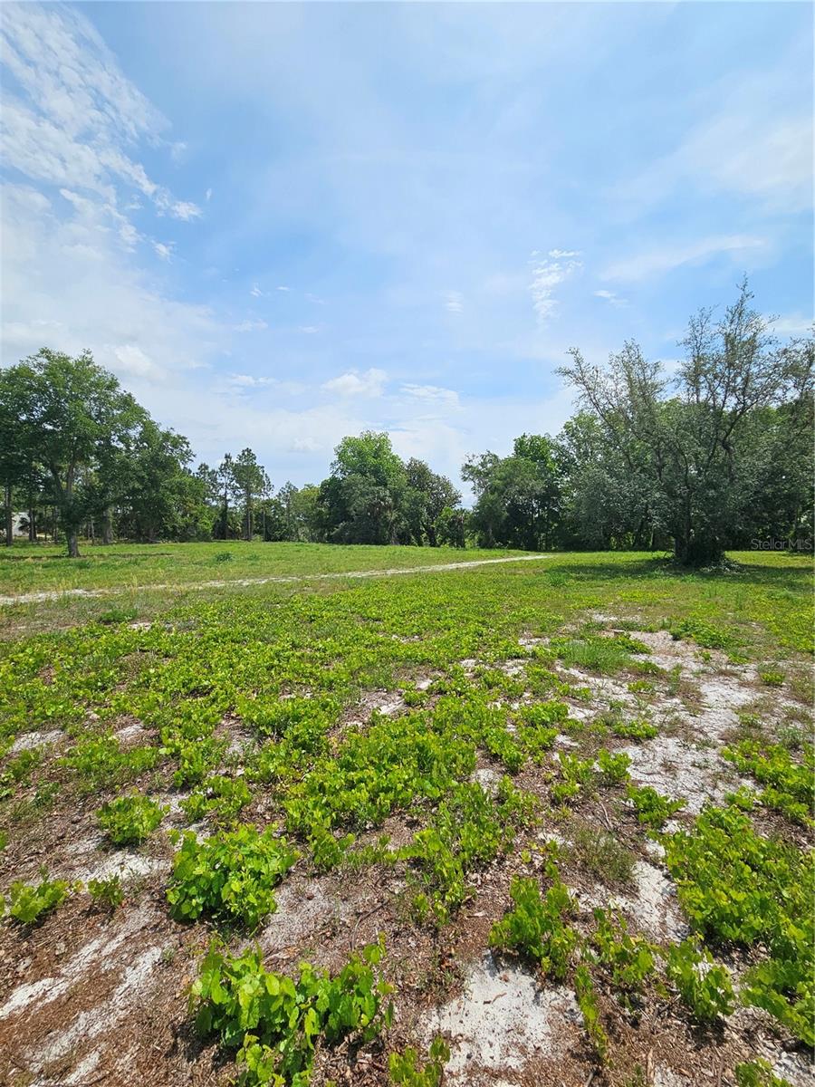 OVIEDO ESTATES AT LAKE MORAN SOUTH - Land