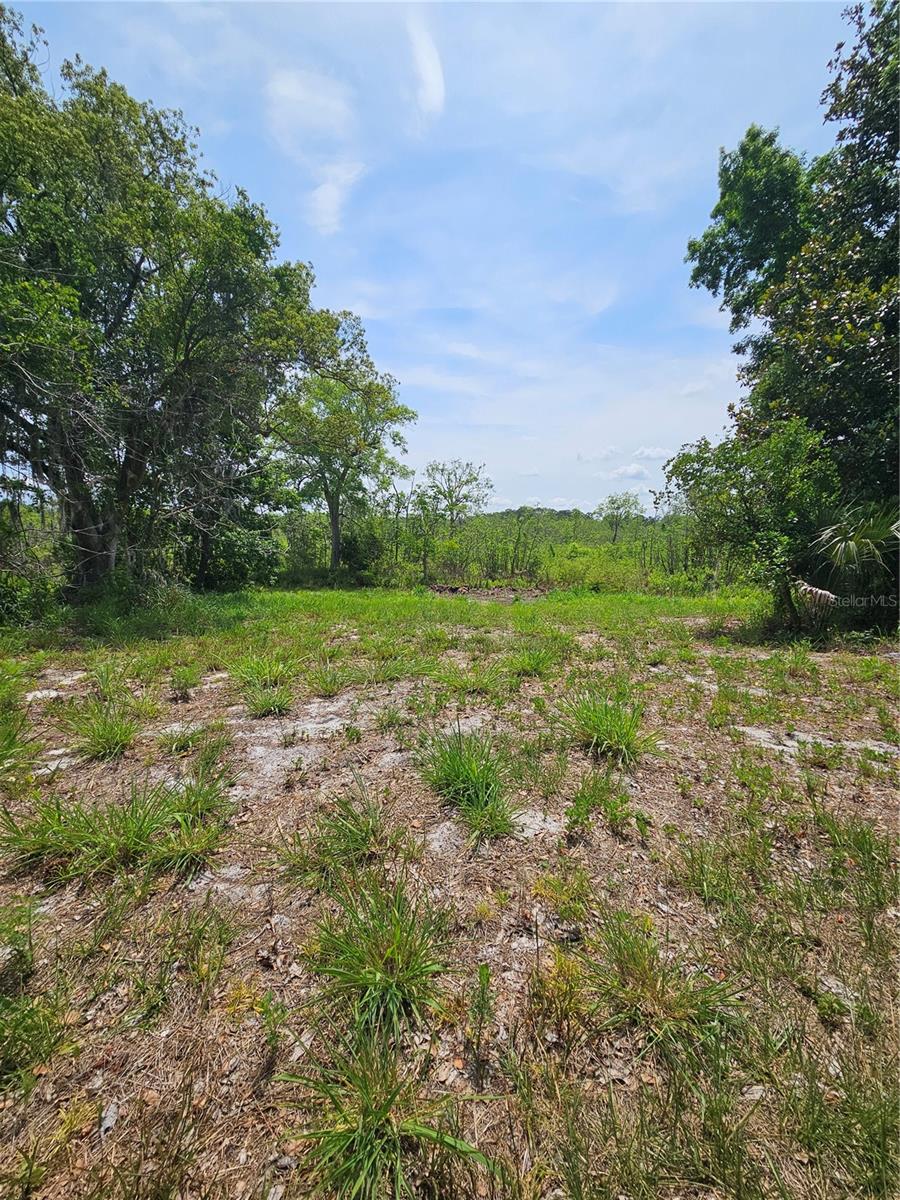 OVIEDO ESTATES AT LAKE MORAN SOUTH - Land