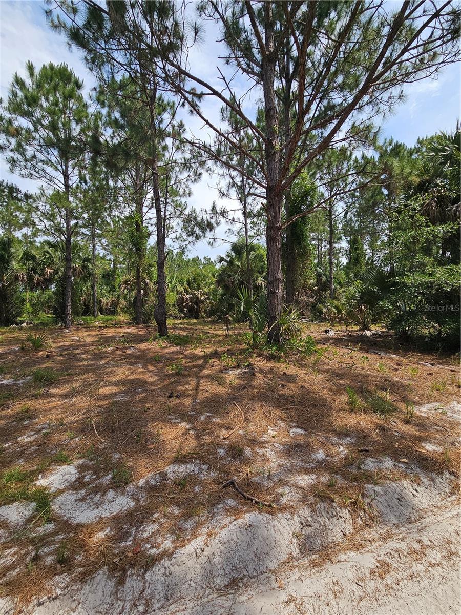 OVIEDO ESTATES AT LAKE MORAN SOUTH - Land