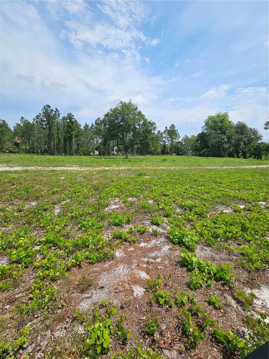 OVIEDO ESTATES AT LAKE MORAN SOUTH - Land