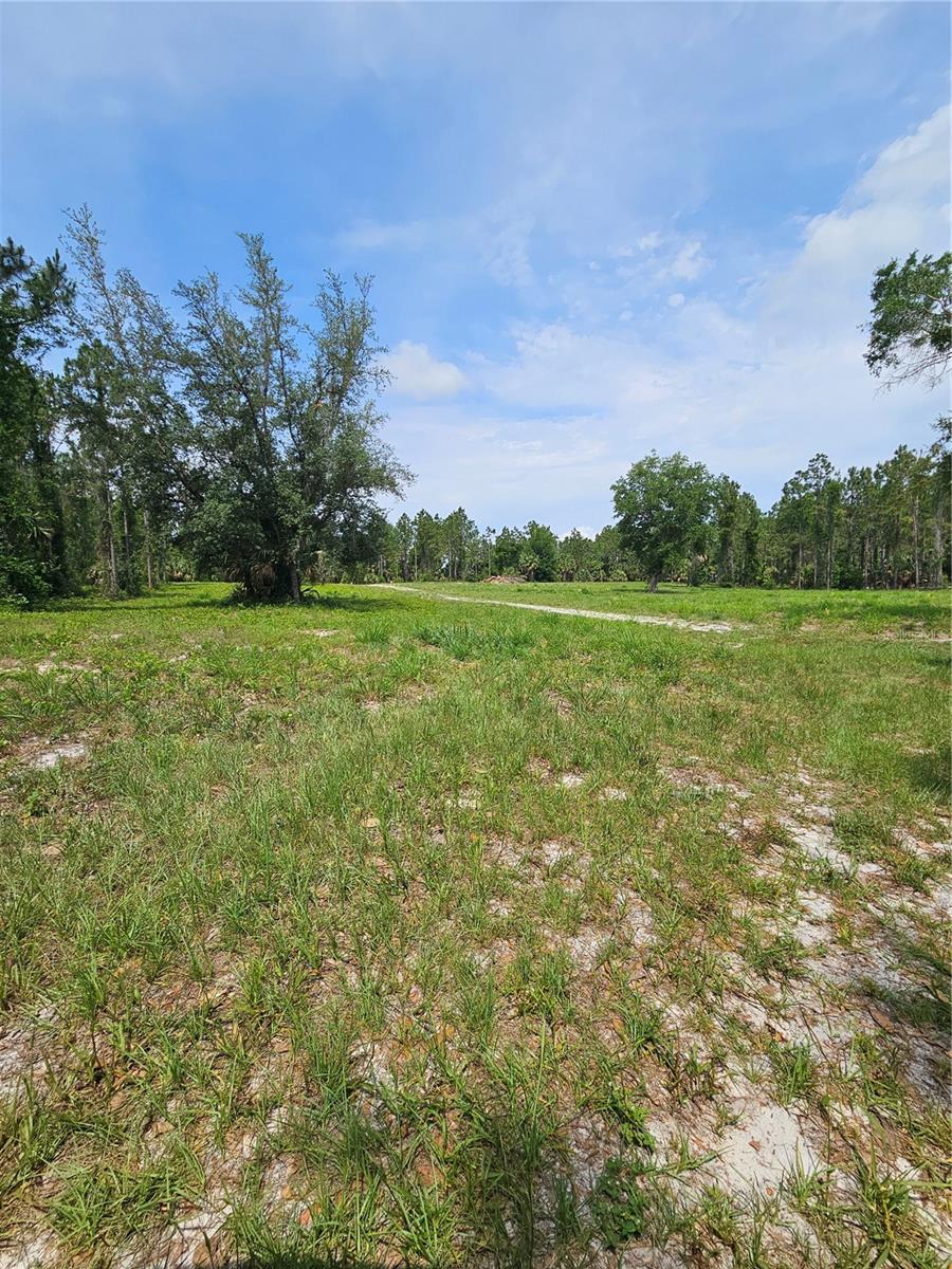 OVIEDO ESTATES AT LAKE MORAN SOUTH - Land
