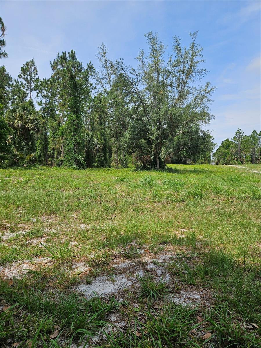 OVIEDO ESTATES AT LAKE MORAN SOUTH - Land