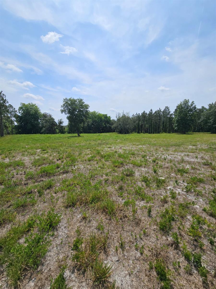 OVIEDO ESTATES AT LAKE MORAN SOUTH - Land