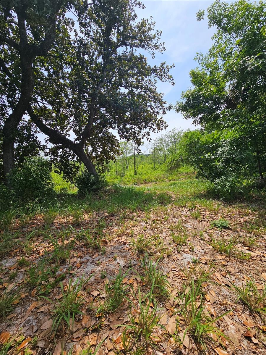 OVIEDO ESTATES AT LAKE MORAN SOUTH - Land
