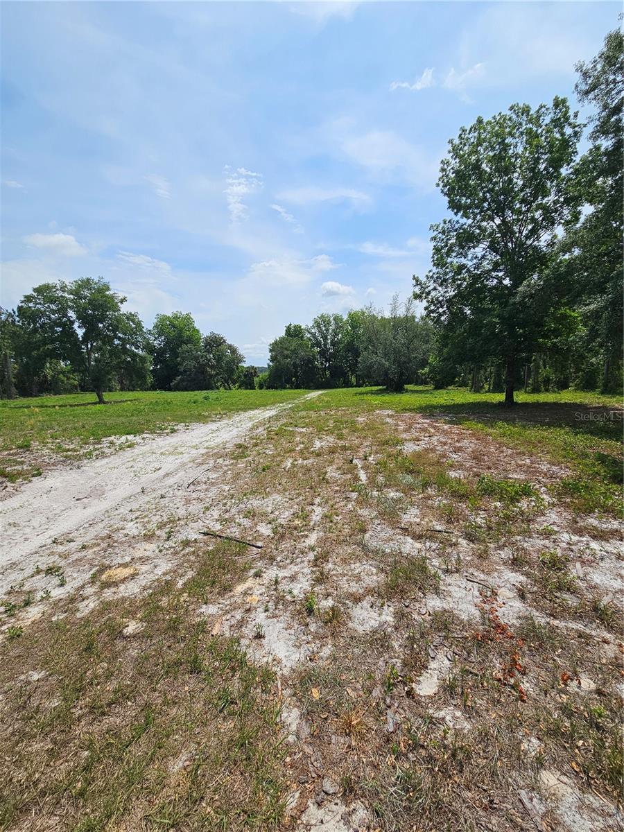 OVIEDO ESTATES AT LAKE MORAN SOUTH - Land