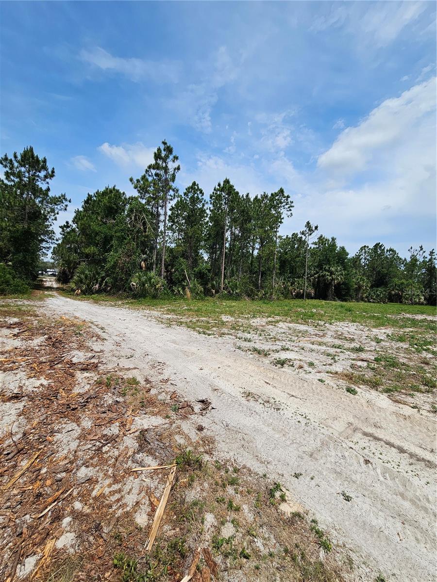 OVIEDO ESTATES AT LAKE MORAN SOUTH - Land