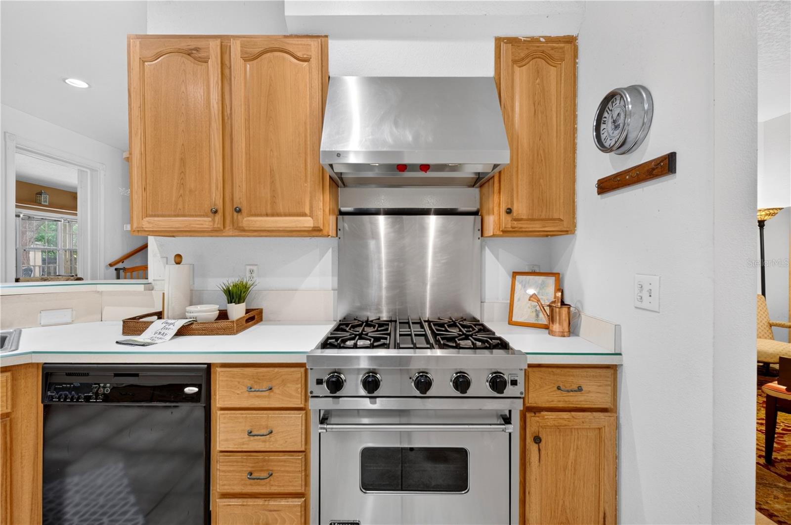WINTER GARDEN SHORES REP - Residential