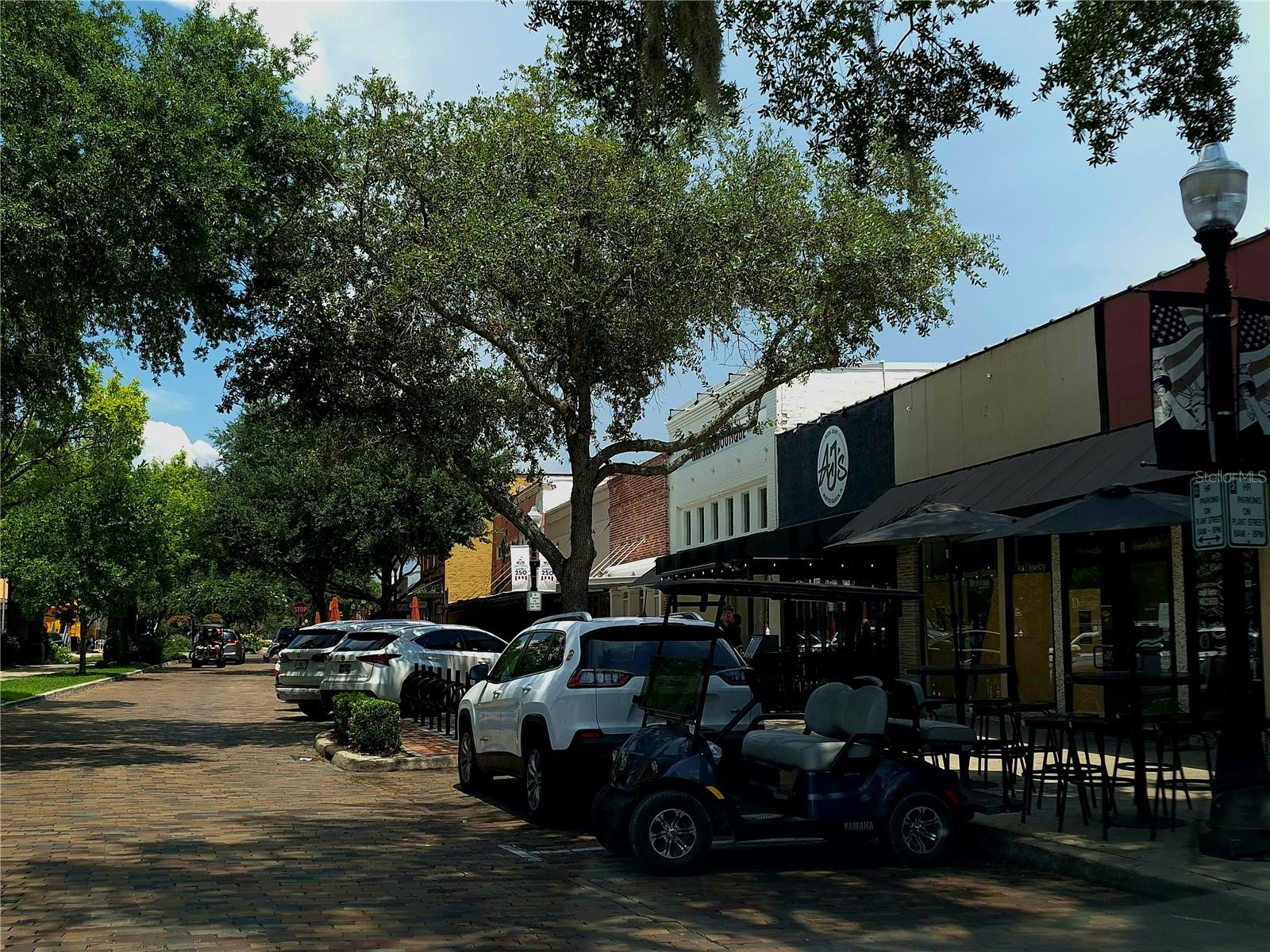 WINTER GARDEN SHORES REP - Residential