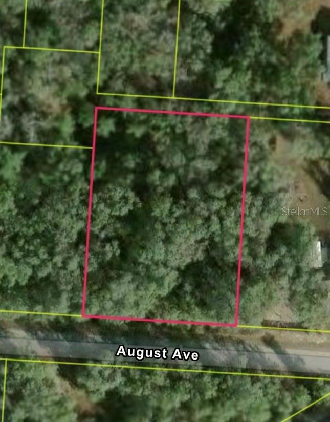 RIDGE MANOR ESTATE - Land
