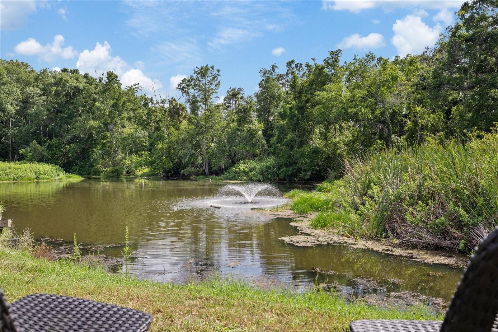 PARADISE POINTE WEST - Residential