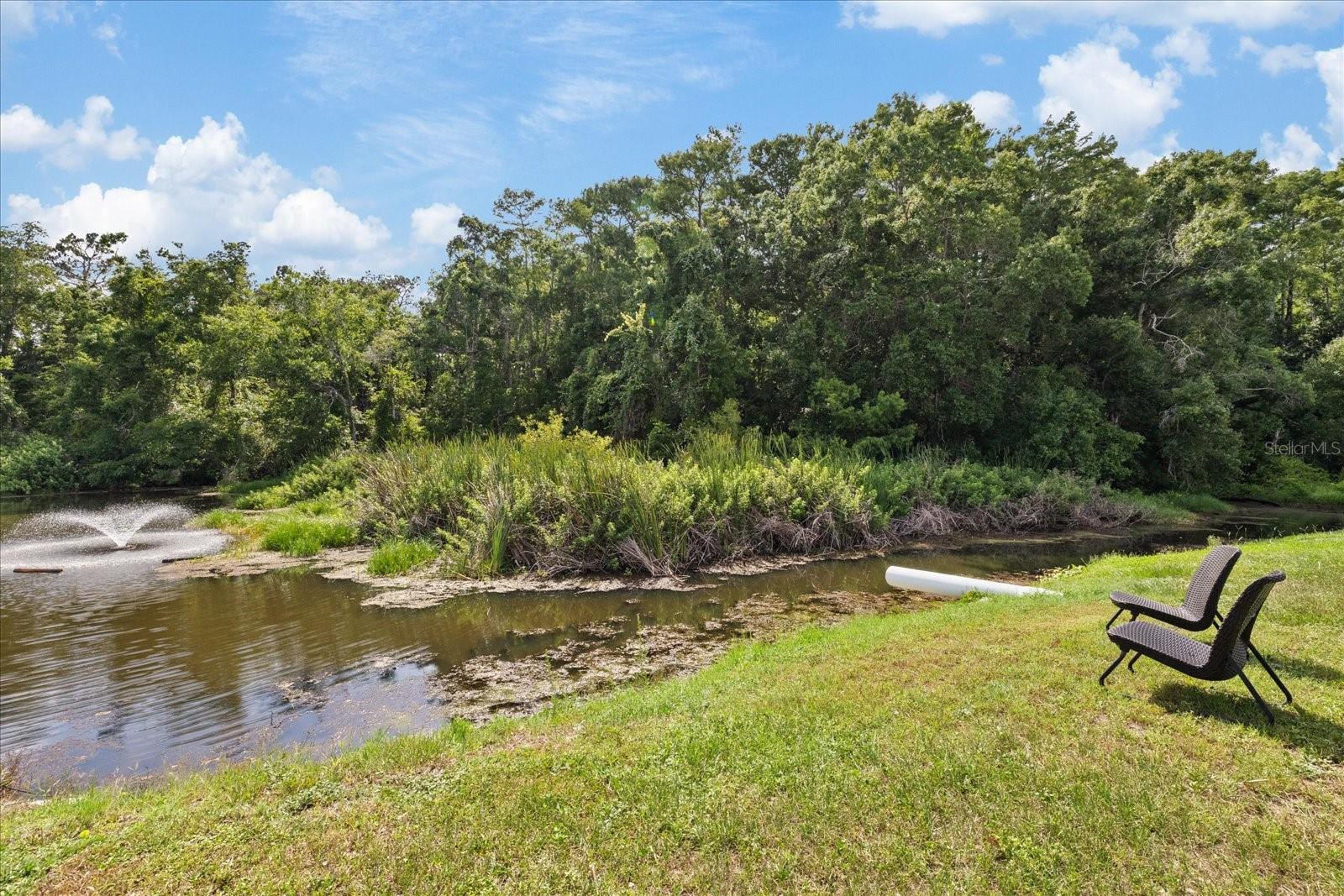 PARADISE POINTE WEST - Residential