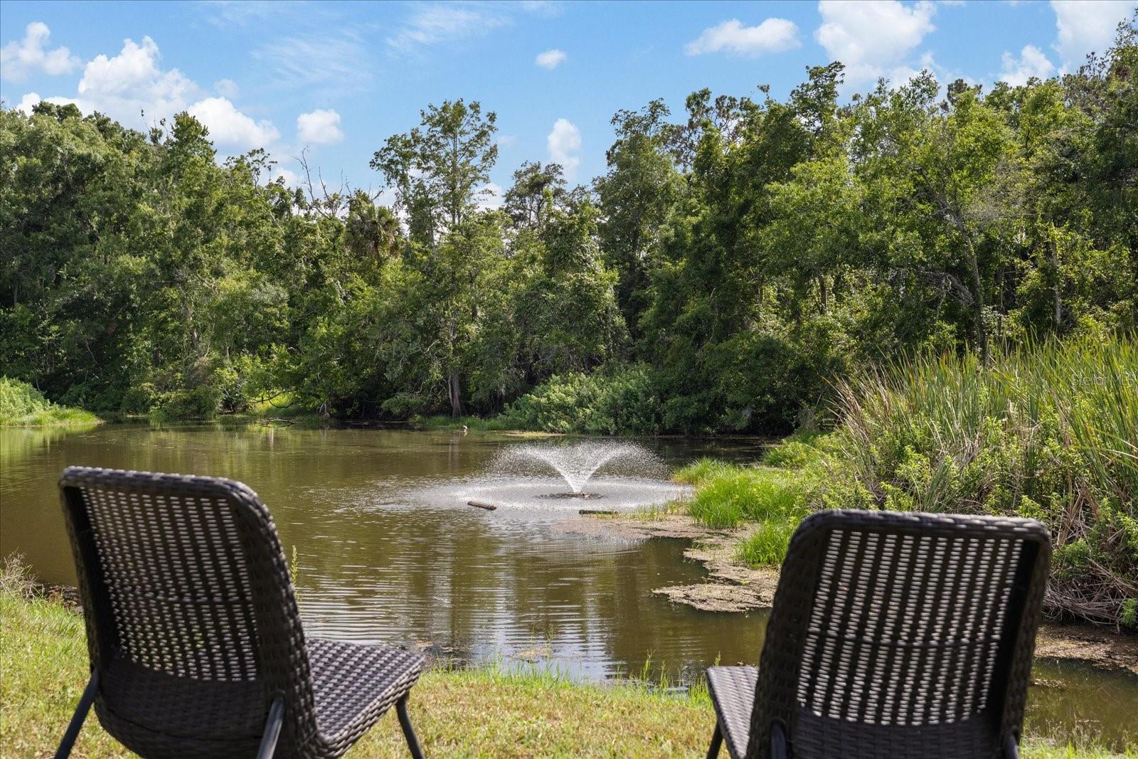 PARADISE POINTE WEST - Residential