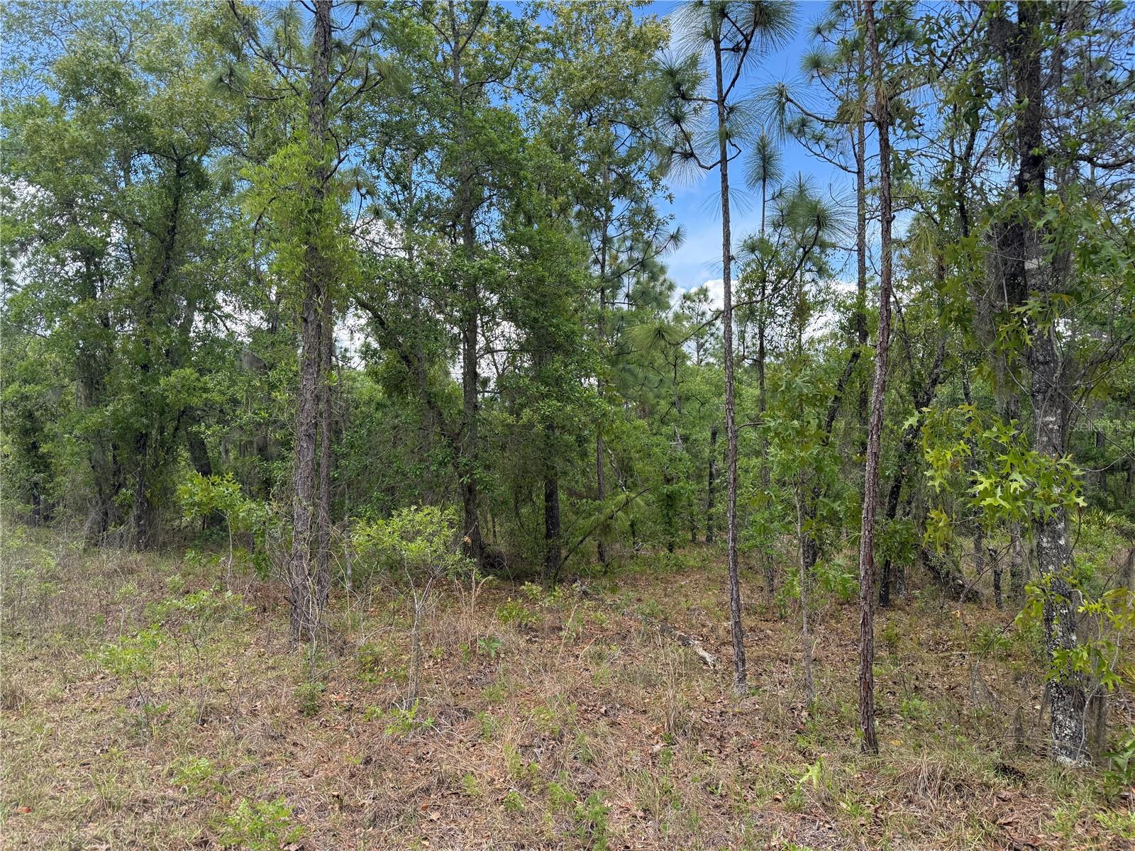 RAINBOW LAKES ESTATE - Land