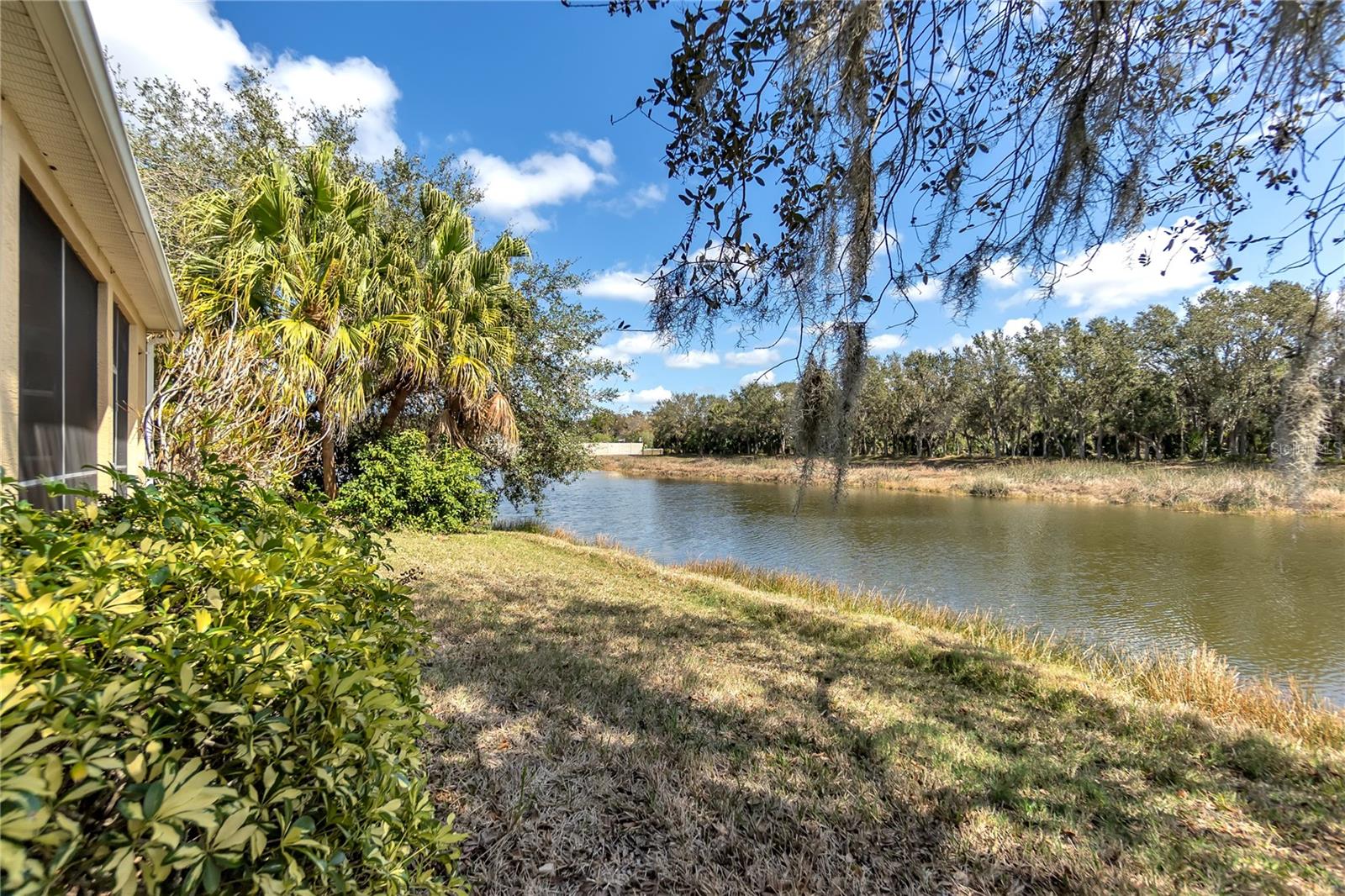 PARK TRACE ESTATES - Residential