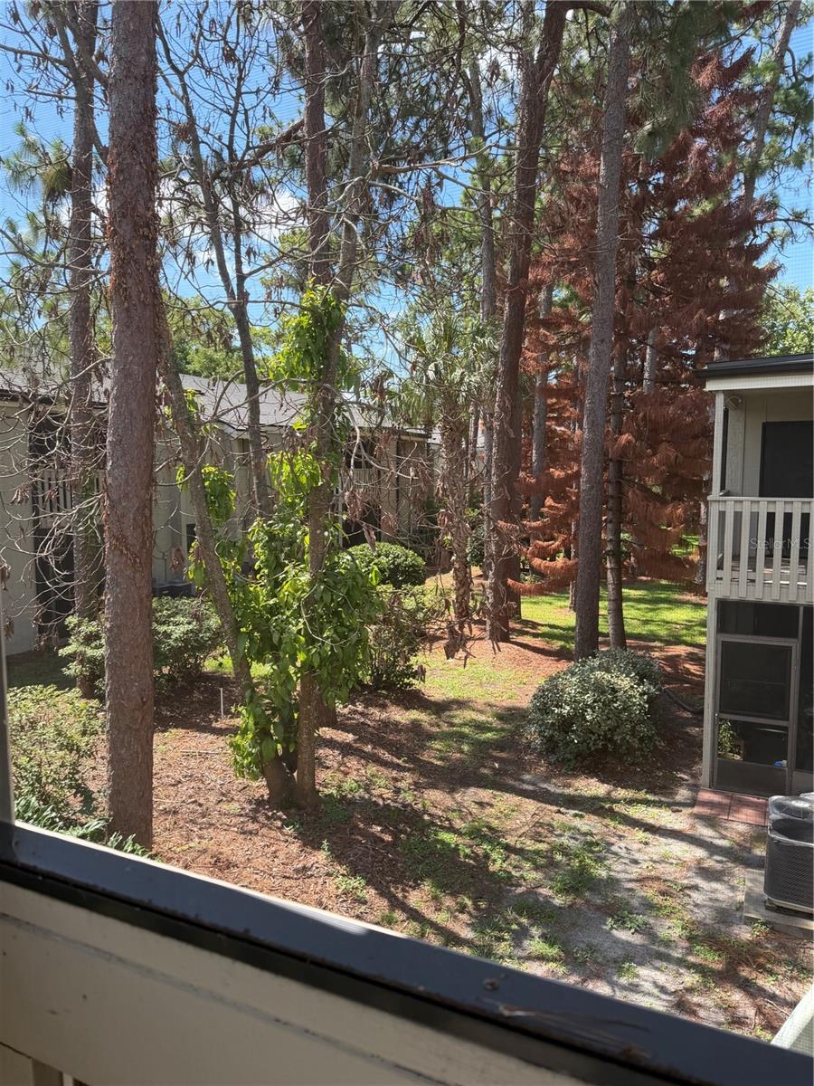 SPRINGWOOD VILLAGE - Residential